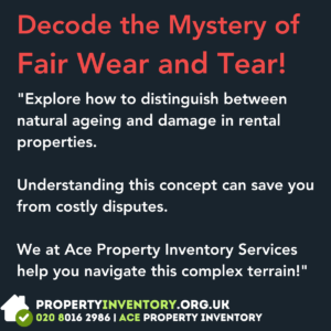 Ace_Property_Inventory_Fair_Wear_and_Tear_001